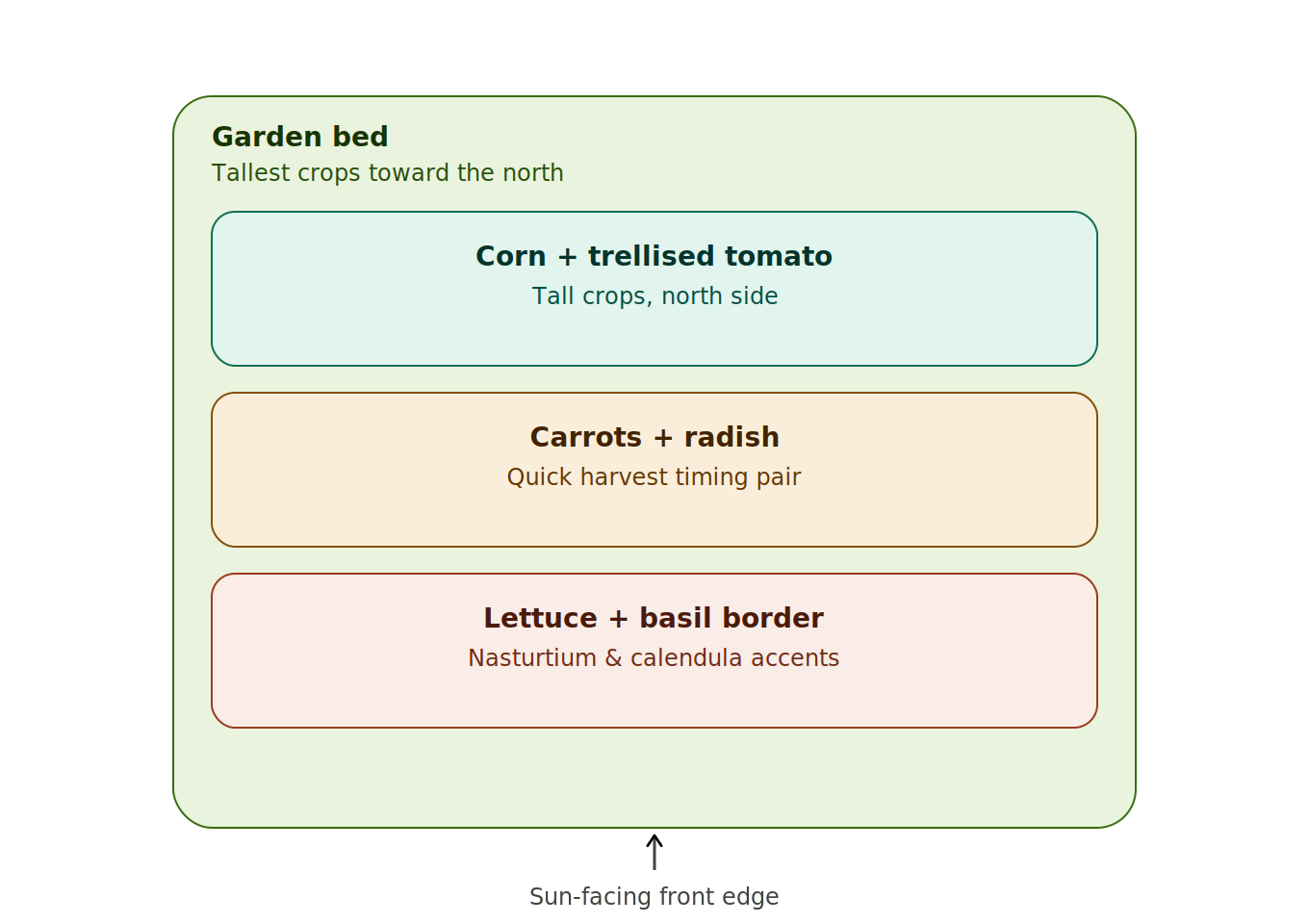 Companion planting garden bed layout diagram for beginners